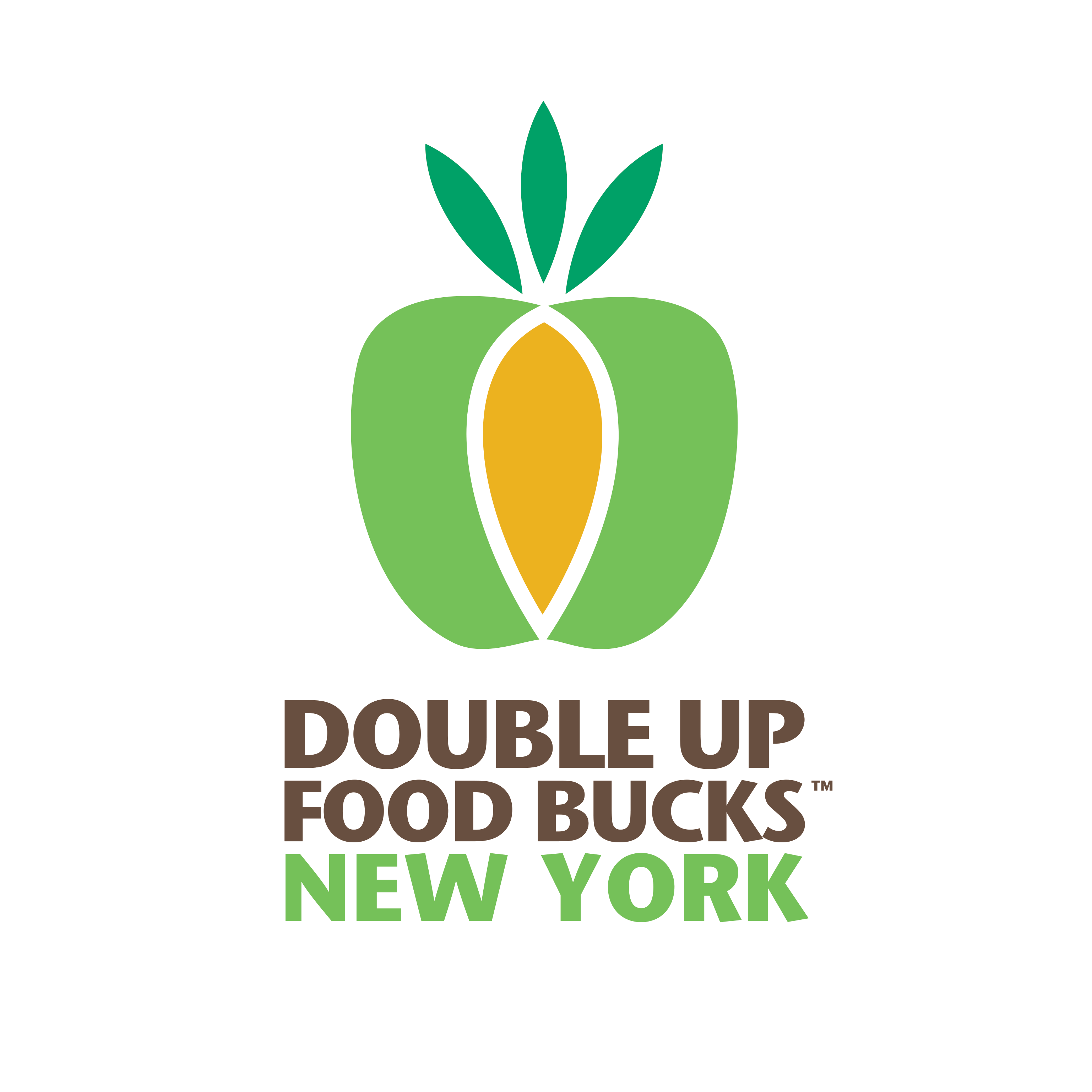 Market 32 2333 Nott St E 47 Grocery Store Pharmacy